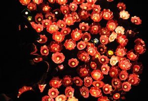 Tết trung thu của các nước Đông Á 495 tet trung thu cra cac nuoc dong a 7