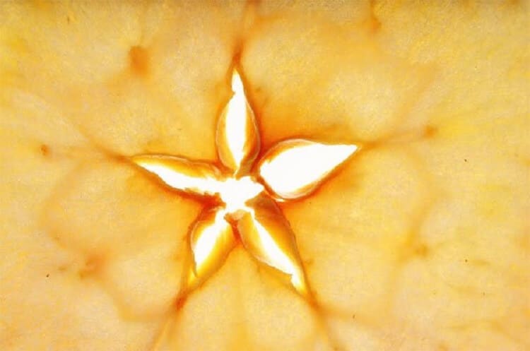 Lễ hội ma Halloween và những điều bạn chưa biết 13 Lễ hội ma Halloween và những điều bạn chưa biết