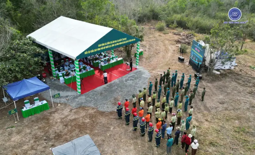 Công Ty Tổ Chức Sự Kiện Tại Bình Dương - Anh Tuấn Phát 850 Tổ chức sự kiện